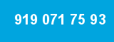 919 071 75 93 919 071 75 93